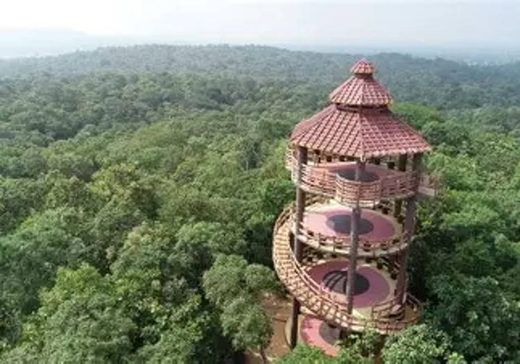 Narsapur Forest Urban Park